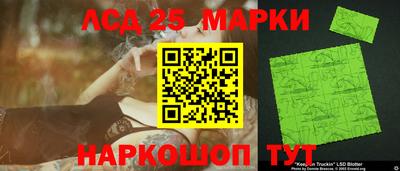 индика Мариинск