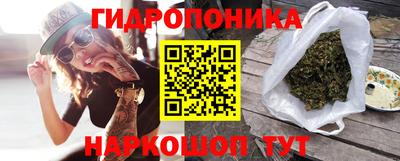 индика Мариинск