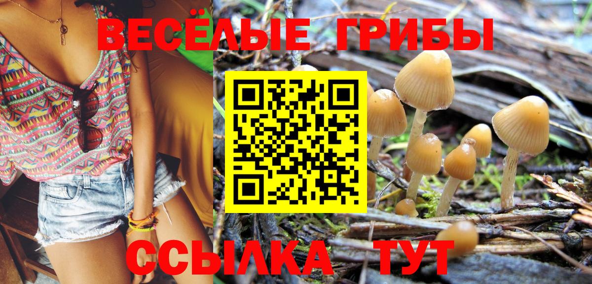 Галлюциногенные грибы Magic Shrooms Жигулёвск